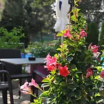 Hotel Ibis Styles