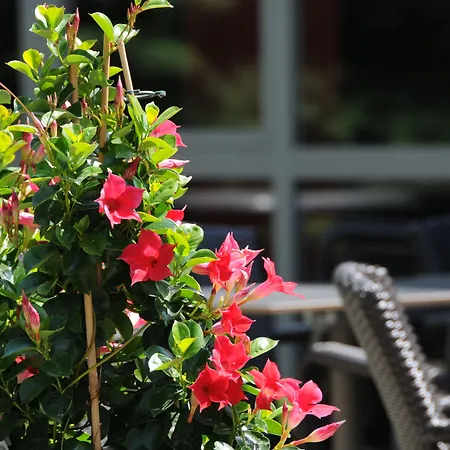 アイビス スタイルズ 3*