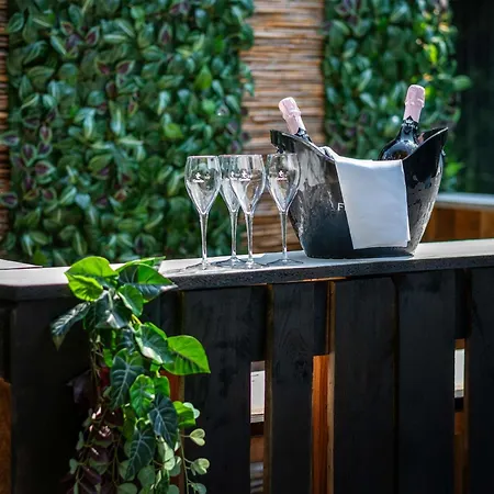 Ibis Styles 호텔 3*