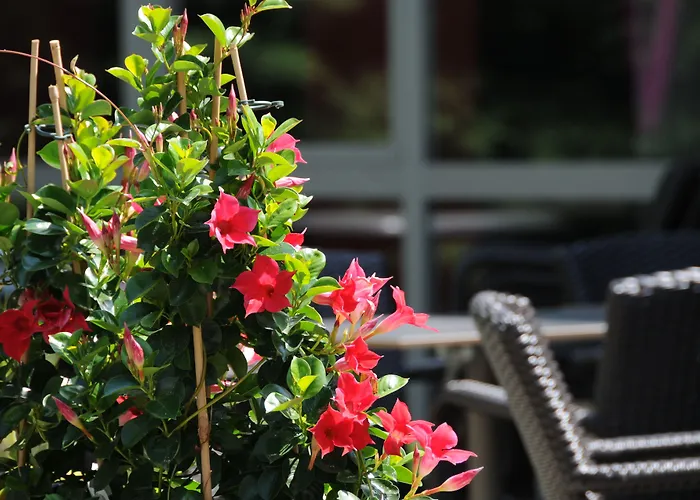 アイビス スタイルズ 3*